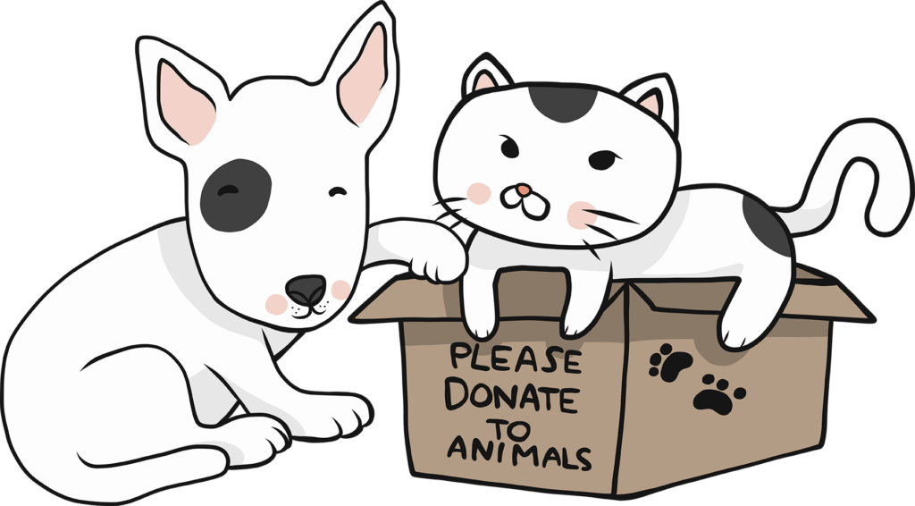 How to Start an Animal Rescue Nonprofit