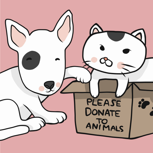 Cat in please donate to animals box cartoon vector illustration